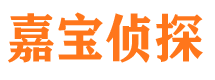 海东市调查公司